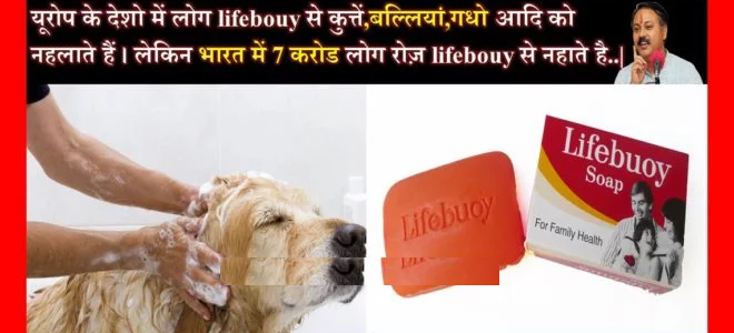 lifebouy