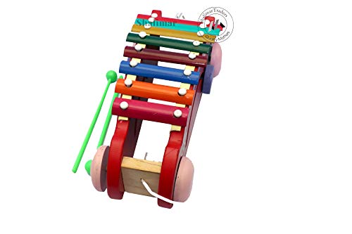Wooden Xylophone Toy | 8 No...