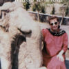Made in India: travels in poetry - Jen Gibson