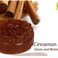 Glamy Cinnamon Soap Soap