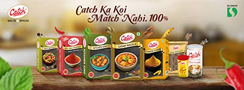 CATCH CHATPATA CHAT MASALA ...