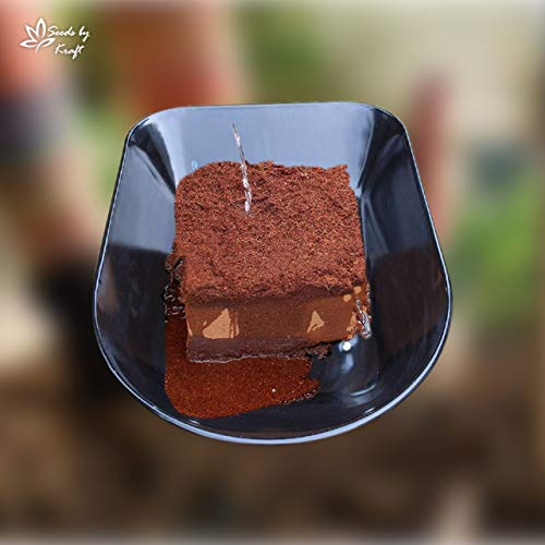 Kraft Seeds Agro Peat/Coco ...