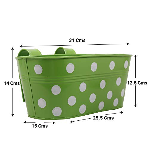 TrustBasket Dotted Oval Rai...