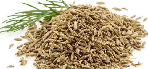 CATCH JEERA WHOLE 200 gm – Pack of 2(400 GMS)