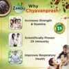 Zandu Chyavanprash Avaleha for Increasing Immunity and Stamina, 900g - Image 5