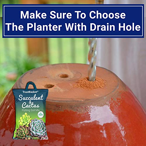 TrustBasket Succulent and Cactus Potting Soil Mix – 5 KG