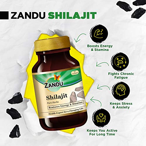 Zandu Shilajit Capsules, In...