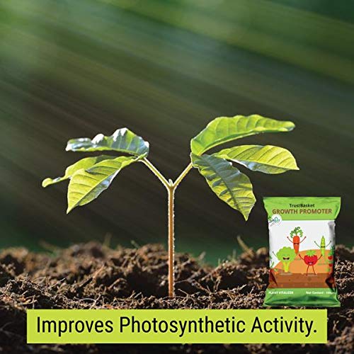 TrustBasket Plant Growth Pr...