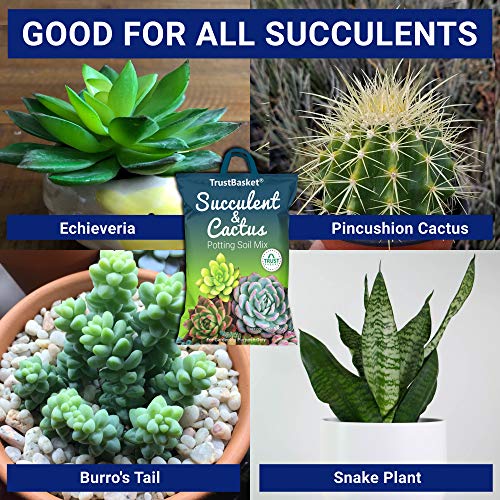TrustBasket Succulent and Cactus Potting Soil Mix – 5 KG