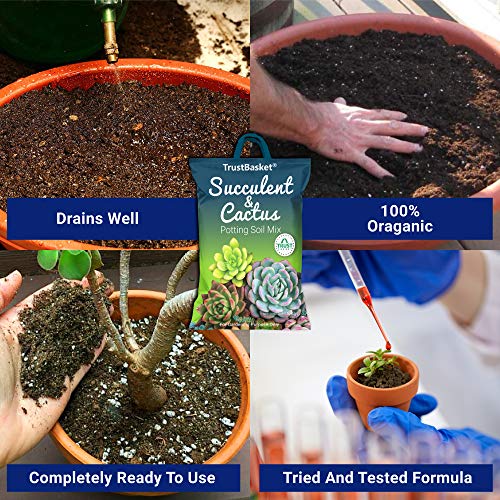 TrustBasket Succulent and Cactus Potting Soil Mix – 5 KG