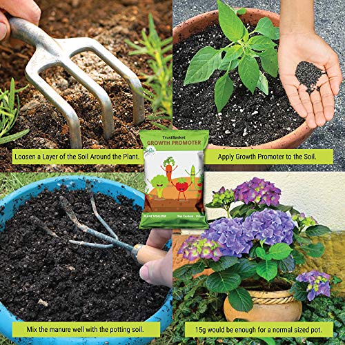 TrustBasket Plant Growth Pr...