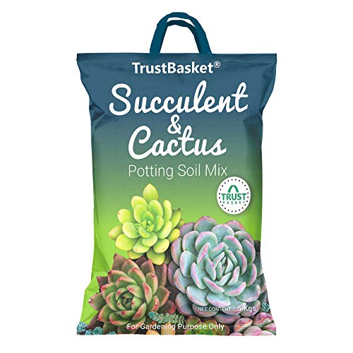 TrustBasket Succulent and Cactus Potting Soil Mix – 5 KG