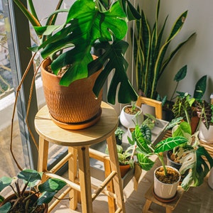 Garden Supplies