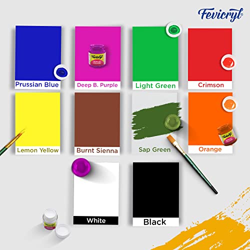 PIDILITE Fevicryl Acrylic S...
