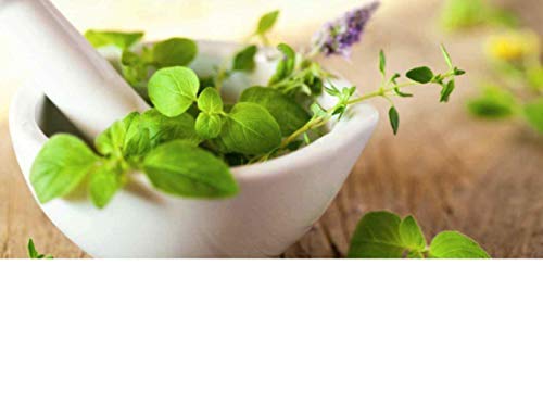 Imc Aloe Spirulina Tablets ...